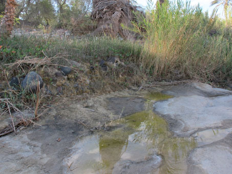 agua filtrándose de la ribera