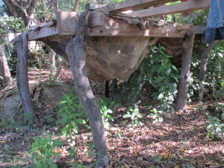 wine making vat