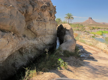 irrigation canal