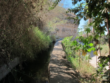 irrigation canal