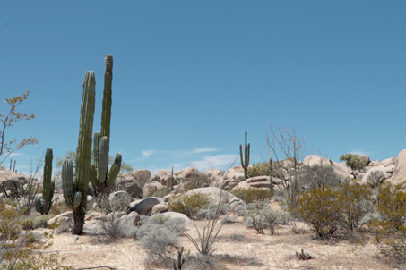 Catavina landscape