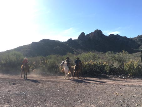 Cowboys on mules