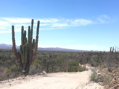 view of desert valley