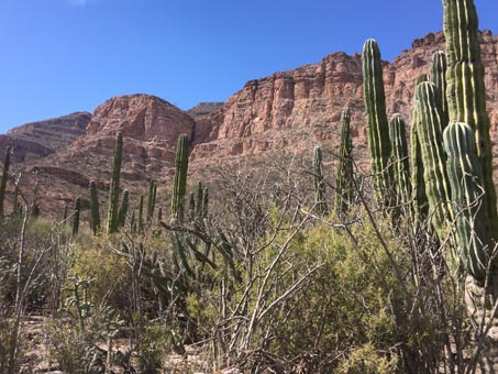 Canyon walls