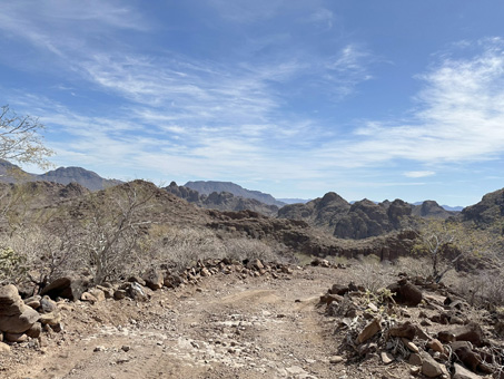desert landscape in the Sierra