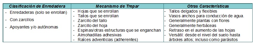 Tabla 1. Enredaderas: clasificación, mecanismos trepadores y otras características