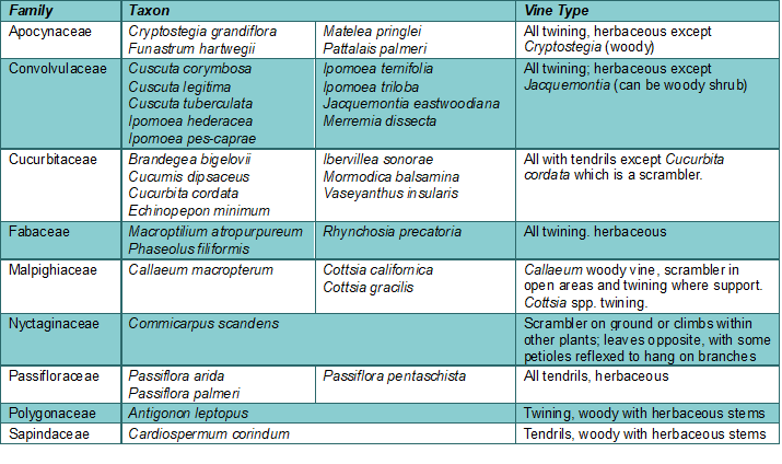 Table 2. Vines in the Mulege Flora