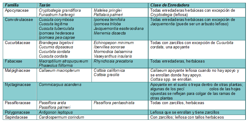 Cuadro 2. Enredaderas en la Flora de Mulegé