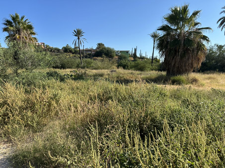 mouth of Arroyo Canett