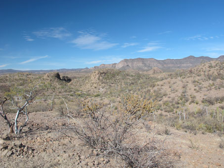 View to west from crest of sierras