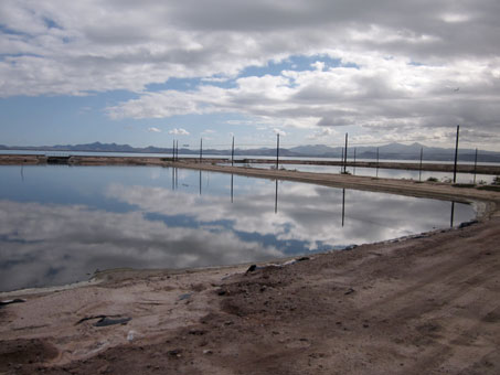 Research ponds at CIBNOR