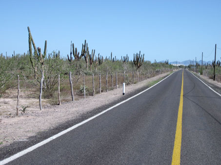 Camino a CIBNOR