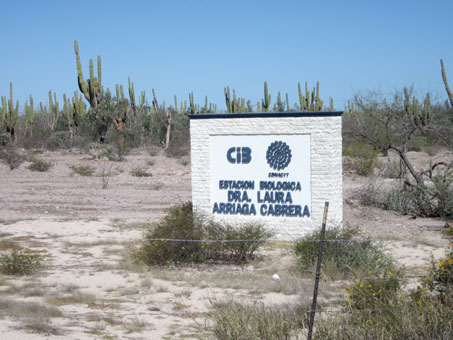 Entrada de CIBNOR