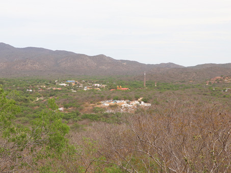 Arid tropical scrub