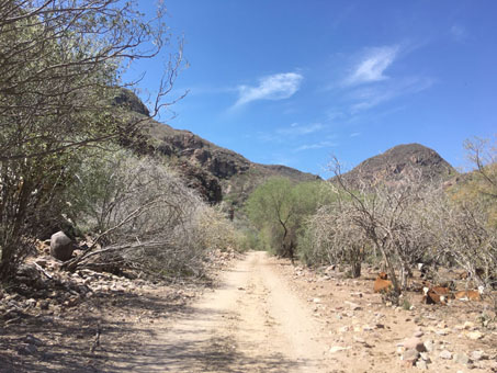 el camino a lo largo del arroyo