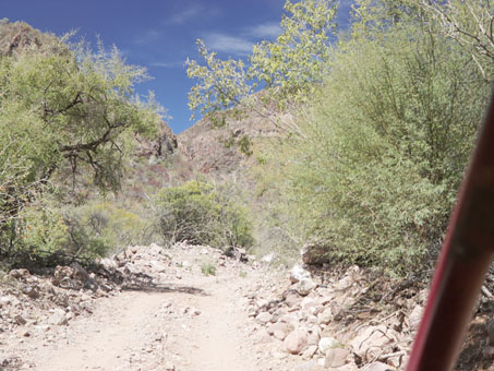 Road along canyon