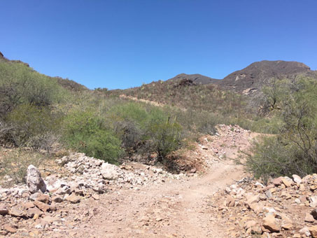 View of road and uphill grade in the distance