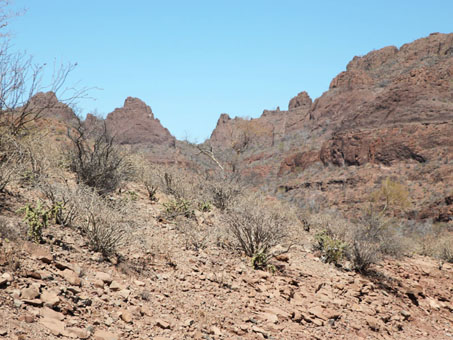 Barren hillsides near San Patricio