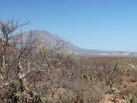 Volcan Las Tres Virgenes