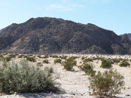 View of Cerro Rojo across the alluvial fan