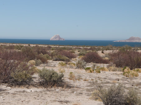 View across the alluvial fan