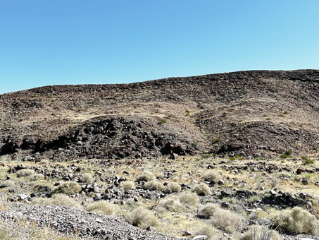 Hillside with dry brittlebush