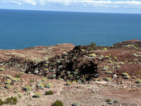 Ladera con el Incienso en flor