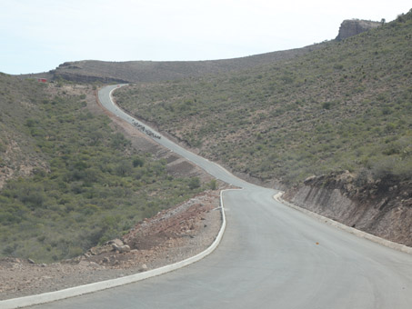 chivas caminando en la carretera