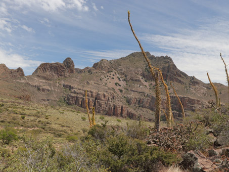 En la Sierra de San Francisco