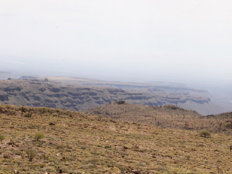 View of the Vizcaino desert