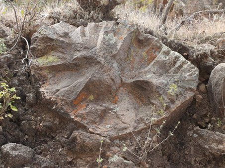 una piedra con líquenes