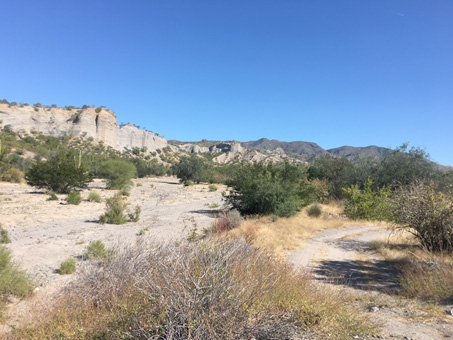 Arroyo bed north of Loreto