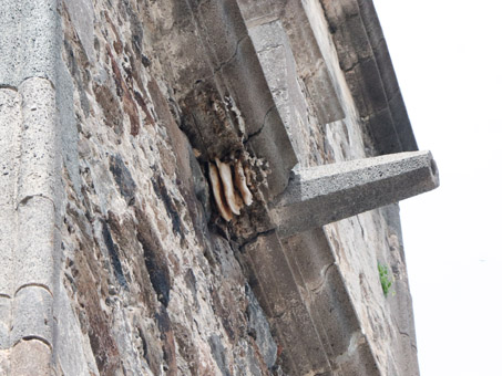 Beehive on wall of Mission San Javier