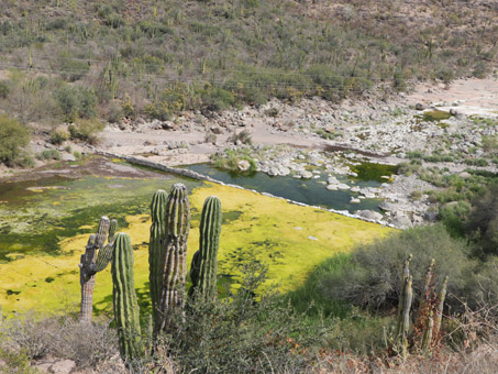 Vista de la pequeña presa en el arroyo