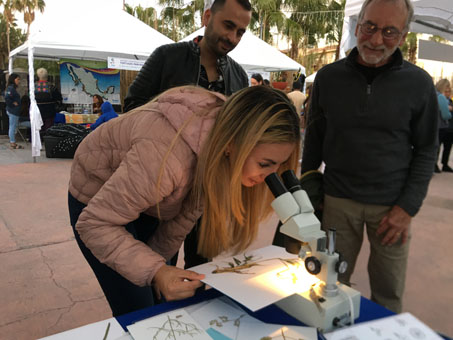 Visitors looking at plants in microscope