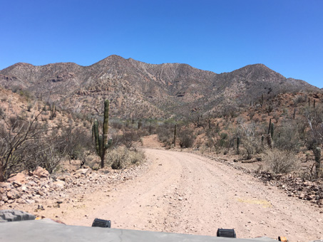 Road from San Borjitas