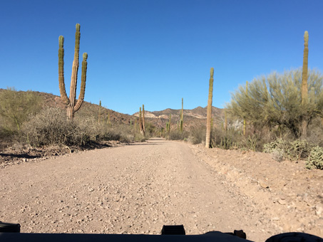 Camino a San Borjitas