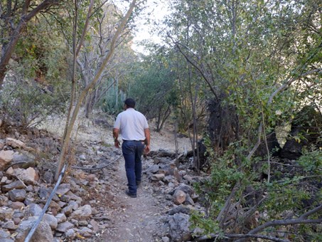 El sendero a San Borjitas