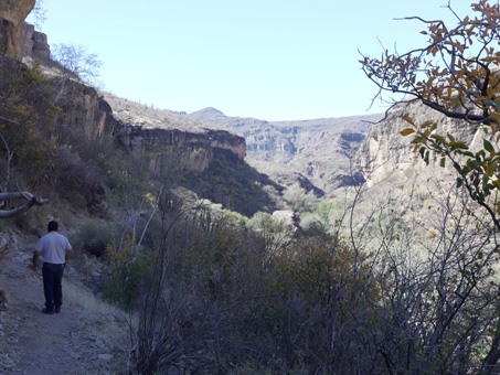 Una vista del arroyo