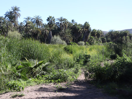 Wetland area in 2022