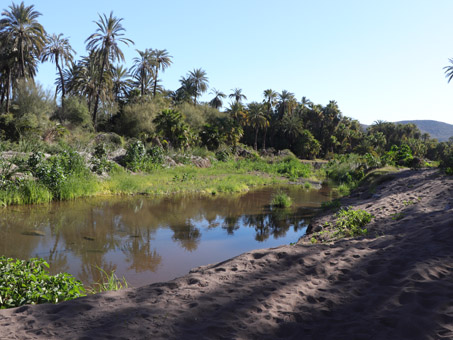 Wetland area in 2023